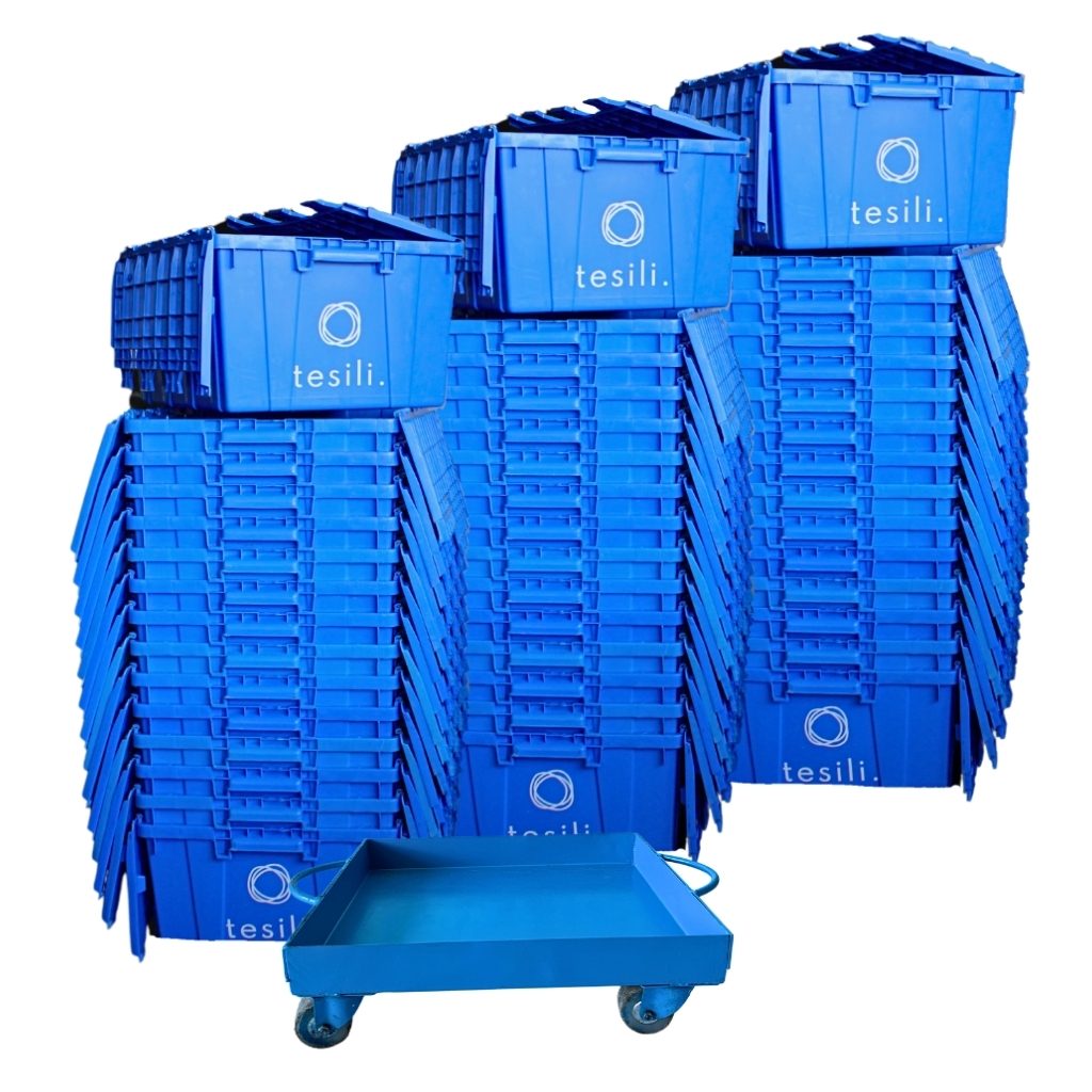 Plastic Moving Box Rental for 5 Bedrooms, 5-Pack House